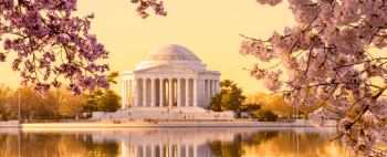 The Jefferson Memorial at sunrise, cherry blossoms visible in the foreground